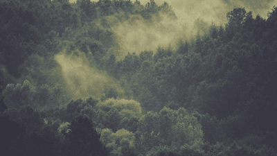 Healthy Food - professional stock photography