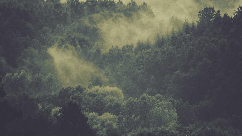 Healthy Food - professional stock photography