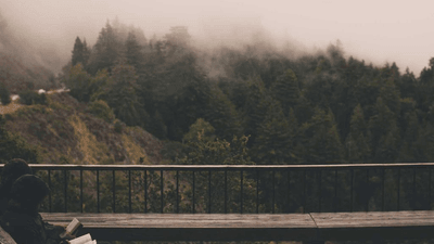 Meditation - professional stock photography