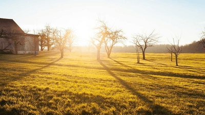 Meditation - professional stock photography
