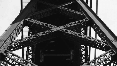 Nature Walk - professional stock photography