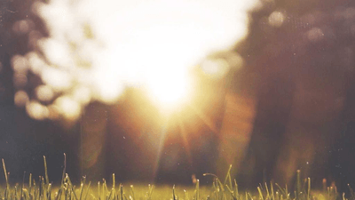 Sleep - professional stock photography