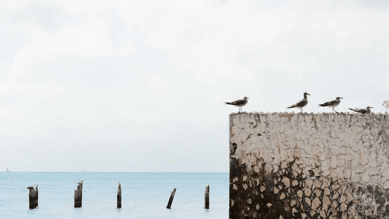 Stretching - professional stock photography