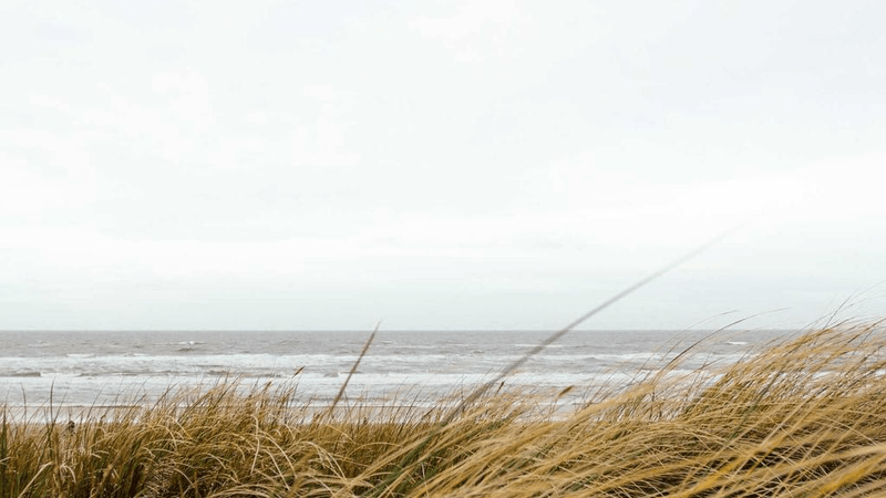 Therapy - professional stock photography