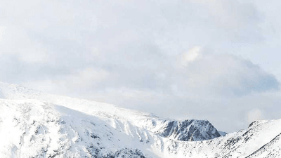 Vitamins - professional stock photography