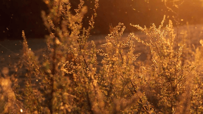 Water - professional stock photography