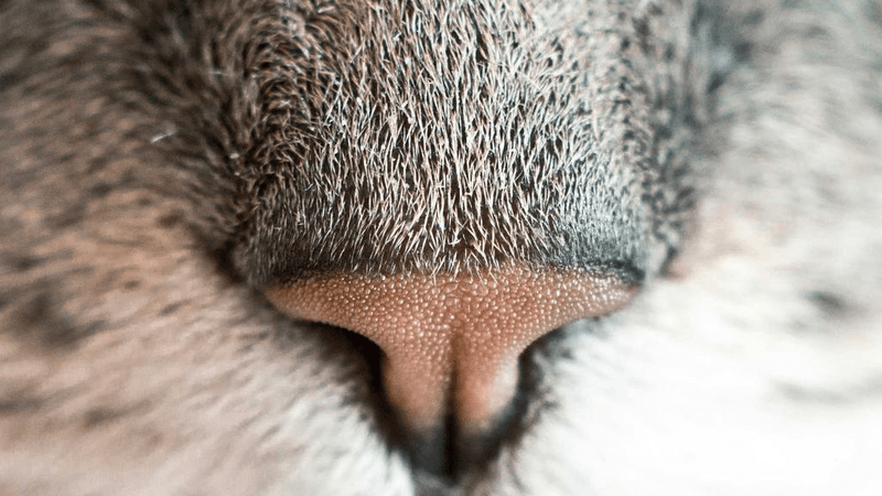 Water - professional stock photography